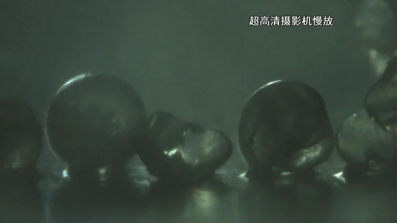 微信图片_20250319144637.jpg 微信图片_20250319144637.jpg