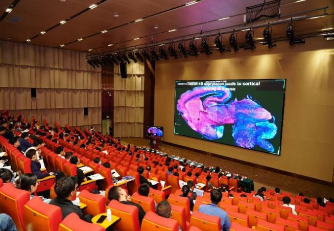 图片6.png 图片6.png