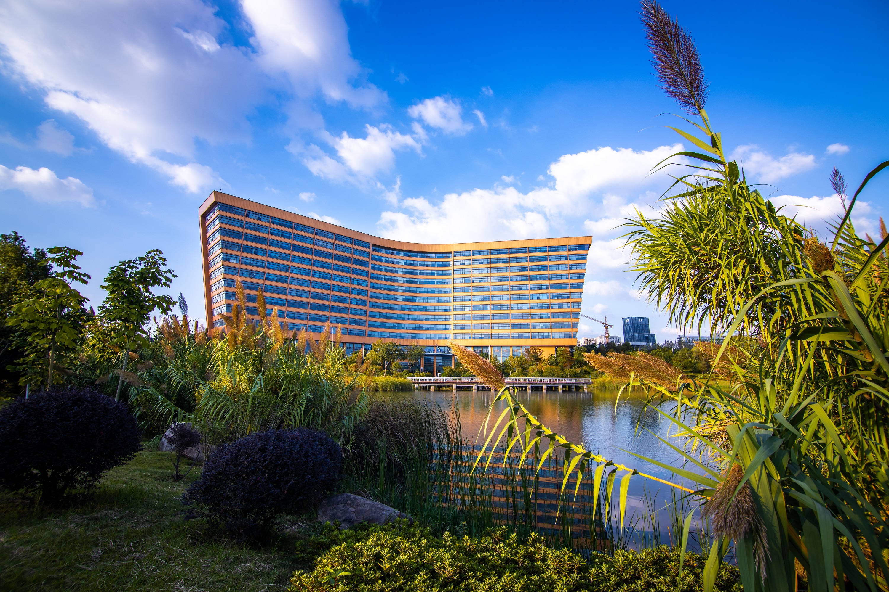 829A9788.jpg 829A9788.jpg